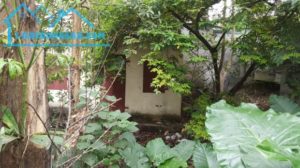 20190510 085216 1227377 4